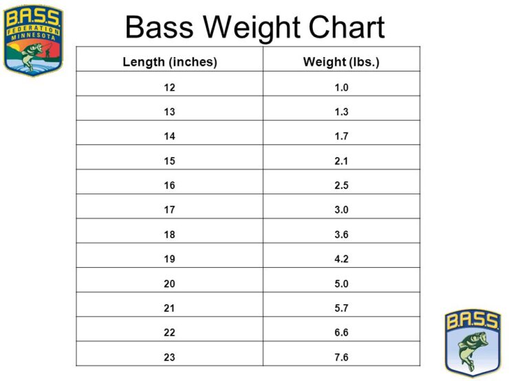 Bass Length To Weight Conversion Chart