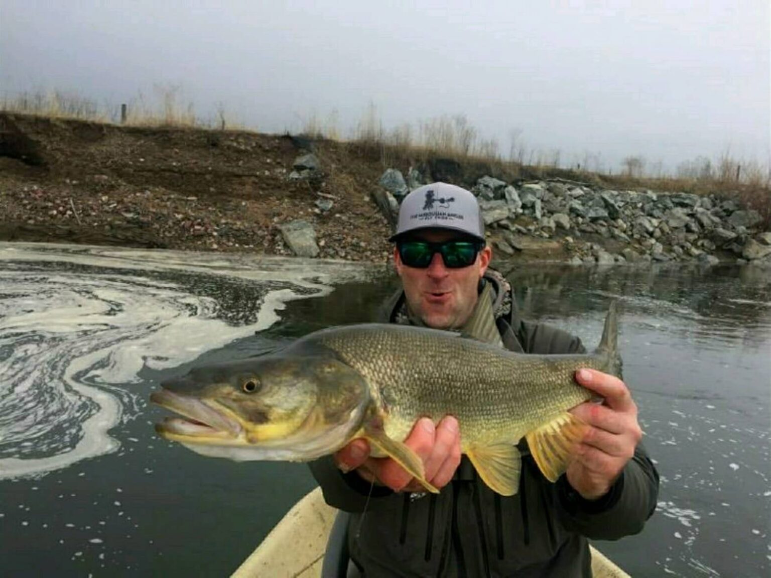 Fish Facts Northern Pikeminnow The Jump Fish Facts Northern Pikeminnow The Jump
