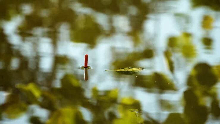 Float Fishing - Method of freshwater fishing