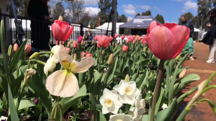 Floriade, Canberra, Australia