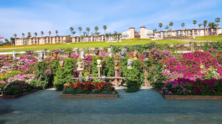 The Flower Fields at Carlsbad Ranch, USA