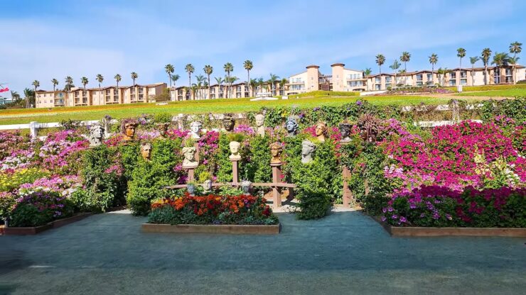 The Flower Fields at Carlsbad Ranch, USA