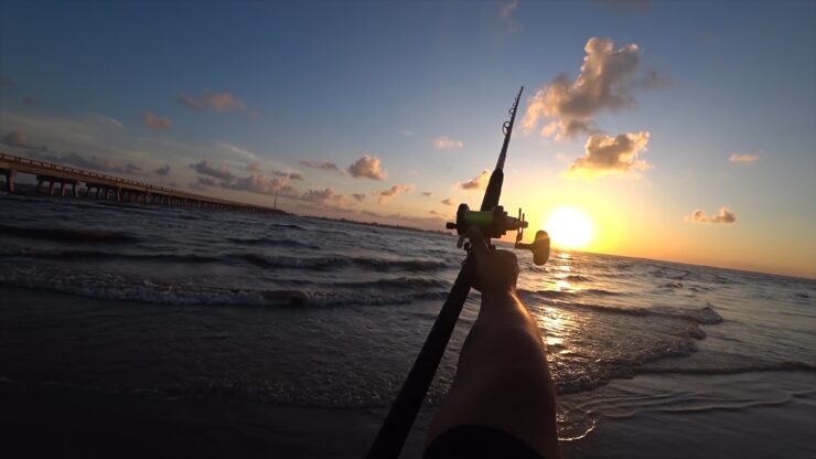 Surf Fishing